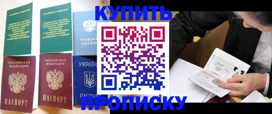 прописка для школы в Щиграх